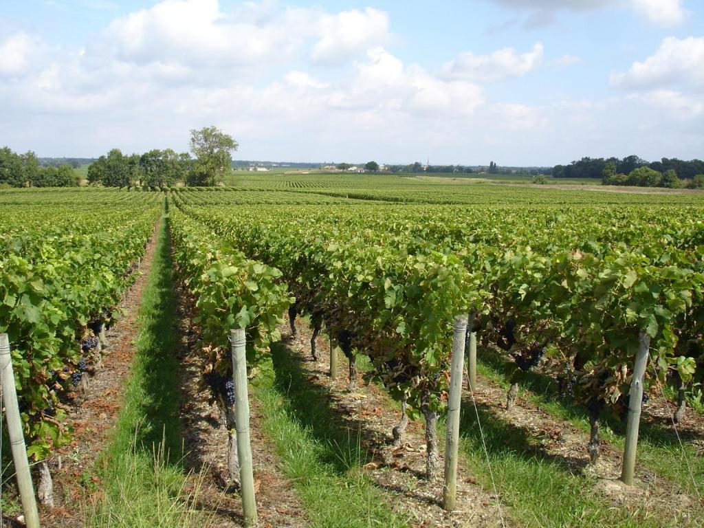 Chateau Beau Jardin Hotel Gaillan-en-Medoc Luaran gambar